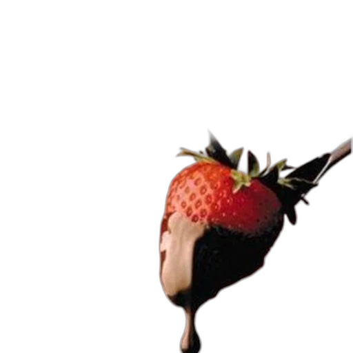 flower, food, hat, crown transparent PNG cut-out