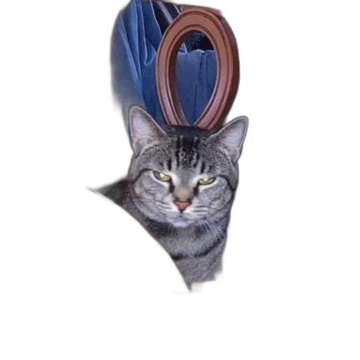 jewelry, staff, hat, animal transparent PNG cut-out
