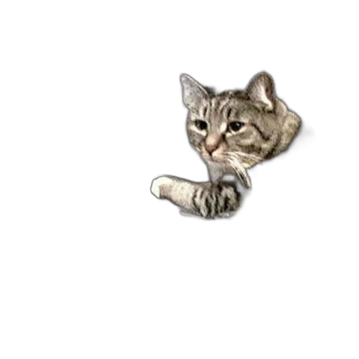 jewelry, animal, staff, weapon transparent PNG cut-out