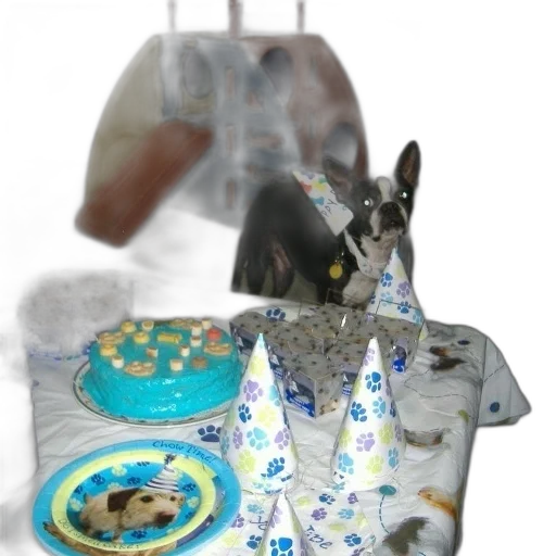 jewelry, food, animal, vaporwave transparent PNG cut-out