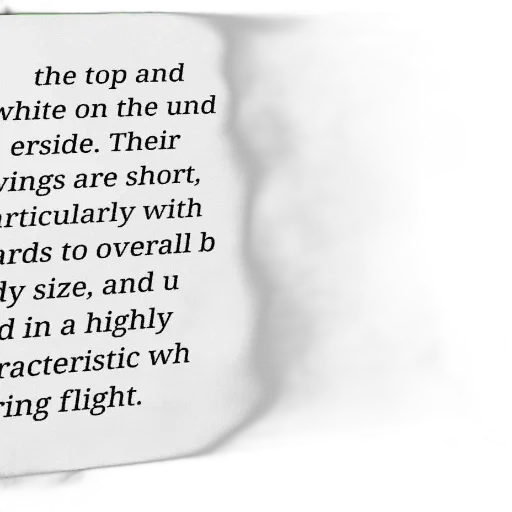 monochrome, text-based, image, white transparent PNG cut-out