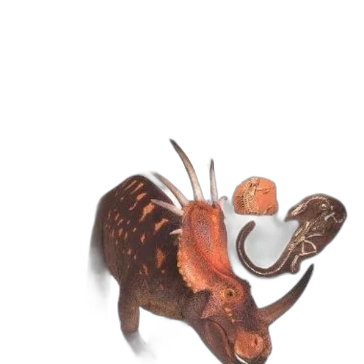 animal, creature, dragon, food transparent PNG cut-out