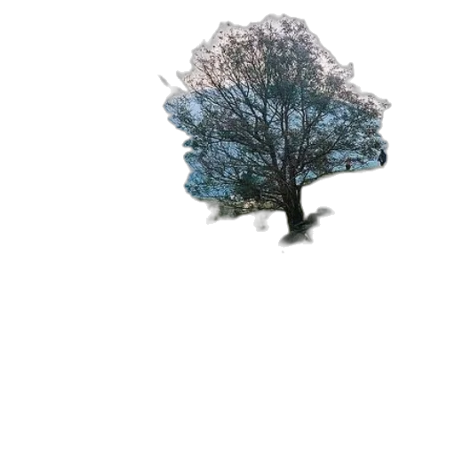 tree, crown, hair, robot transparent PNG cut-out