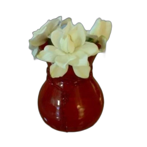 crown, flower, food, jewelry transparent PNG cut-out