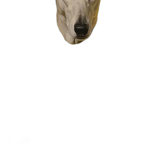animal, mask, face, creature transparent PNG cut-out