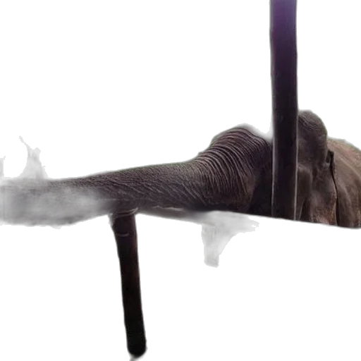 furniture, staff, hair, sword transparent PNG cut-out