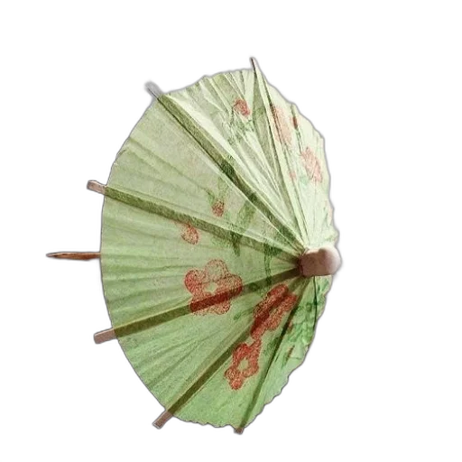 umbrella, staff, flower, weapon transparent PNG cut-out