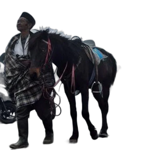 jacket, animal, concept art, person transparent PNG cut-out