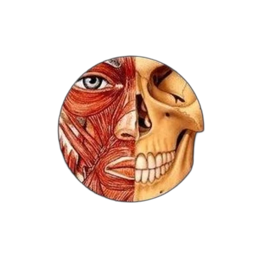 mask, face, jewelry, photorealistic transparent PNG cut-out