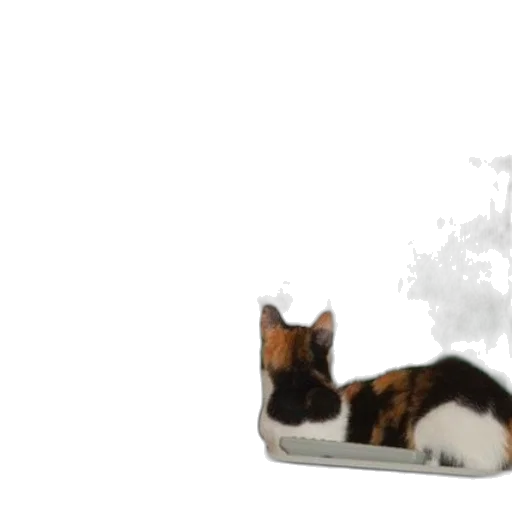 animal, crown, food, staff transparent PNG cut-out