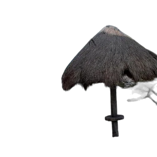umbrella, hat, staff, jacket transparent PNG cut-out