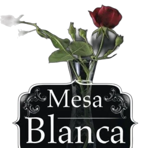 flower, 3d render, photorealistic, monochrome transparent PNG cut-out