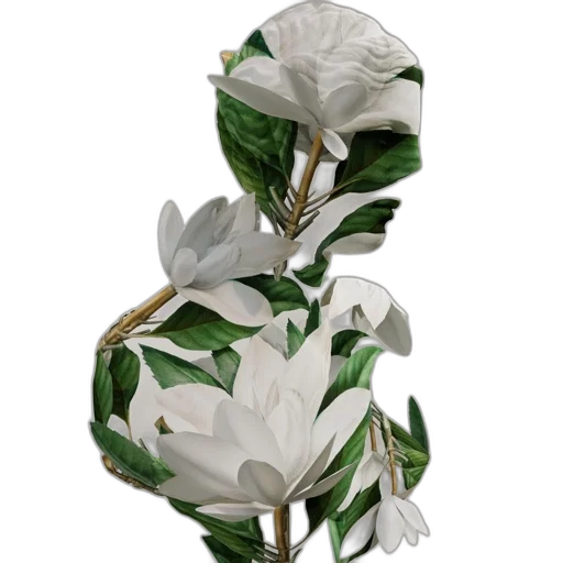 flower, crown, jewelry, staff transparent PNG cut-out