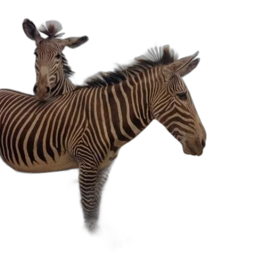 animal, creature, 3d render, photorealistic transparent PNG cut-out