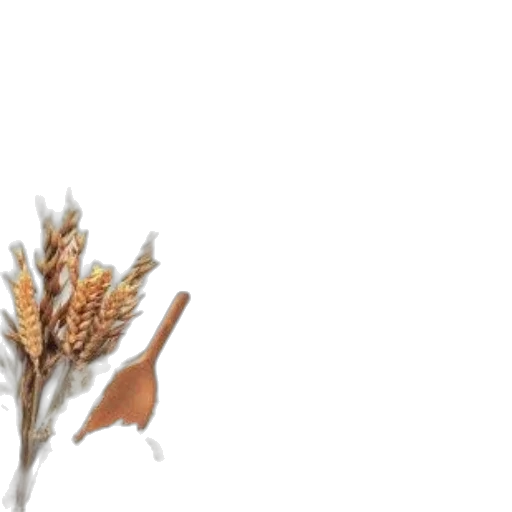 flower, food, hair, hat transparent PNG cut-out