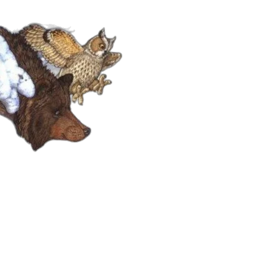 dragon, crown, creature, animal transparent PNG cut-out