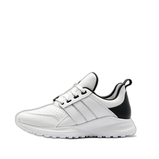 shoes, white, sneaker, black transparent PNG cut-out