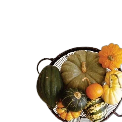 crown, food, flower, mask transparent PNG cut-out