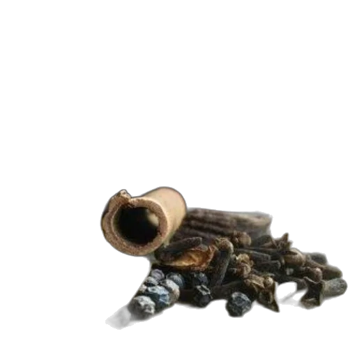weapon, dragon, animal, robot transparent PNG cut-out