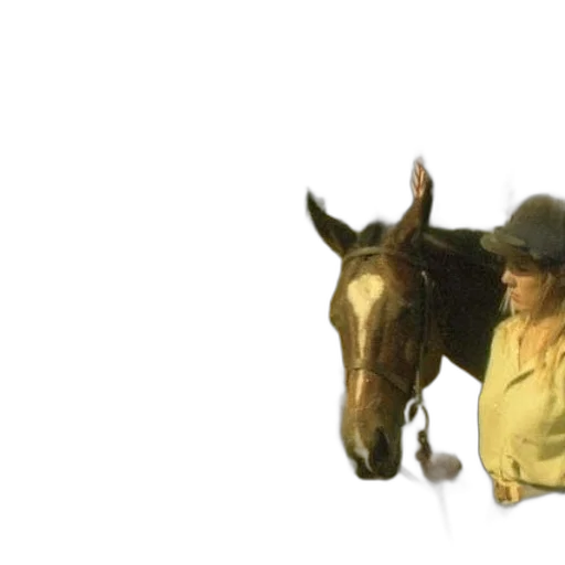 hat, animal, staff, photorealistic transparent PNG cut-out