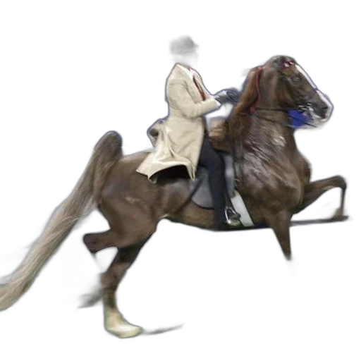 animal, staff, jacket, hat transparent PNG cut-out