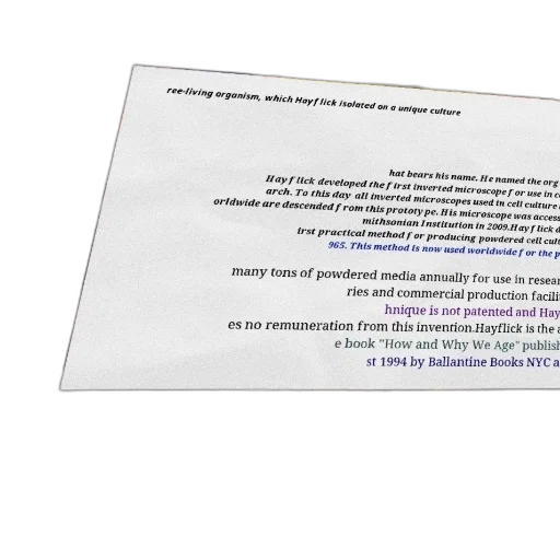 text-heavy, image, white, background transparent PNG cut-out