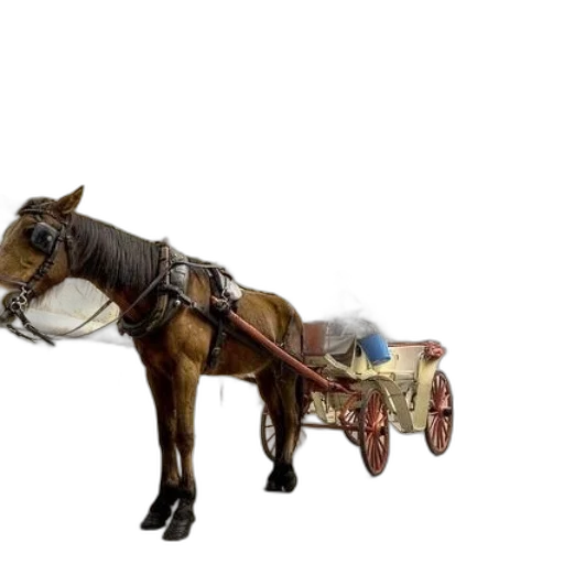 car, staff, weapon, furniture transparent PNG cut-out