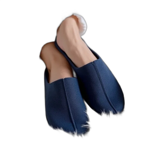 shoes, 3d render, photorealistic, blue transparent PNG cut-out