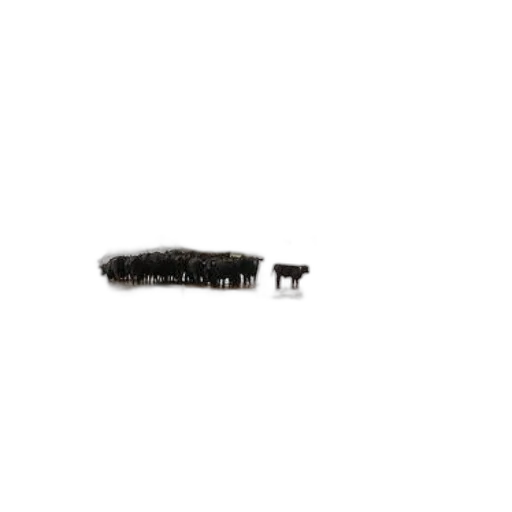 hair, staff, weapon, animal transparent PNG cut-out