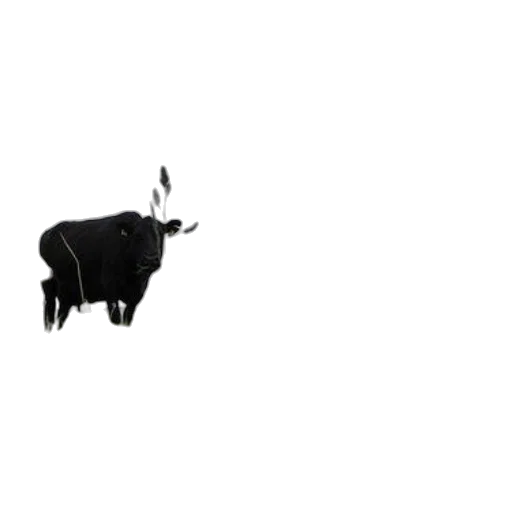 animal, staff, jewelry, creature transparent PNG cut-out