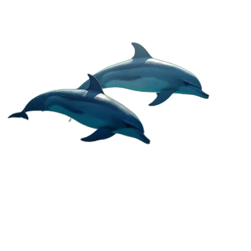 animal, hat, 3d render, concept art transparent PNG cut-out