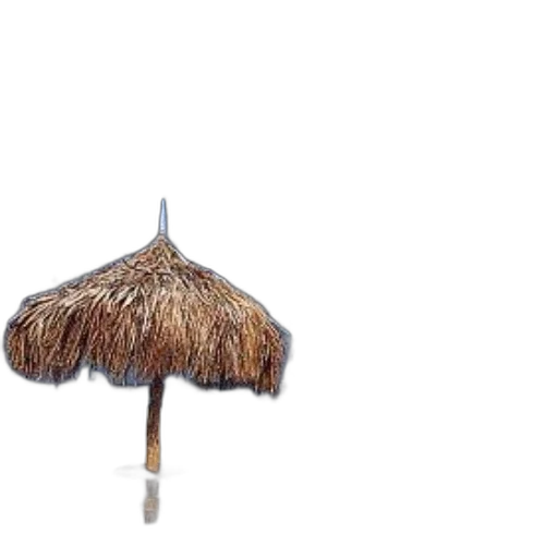 umbrella, hat, staff, hair transparent PNG cut-out