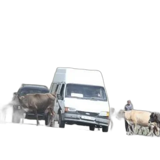 car, animal, concept art, photorealistic transparent PNG cut-out