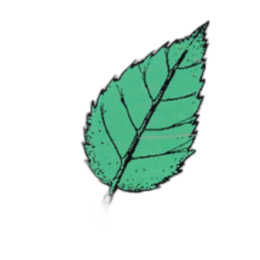 crown, staff, tree, jewelry transparent PNG cut-out