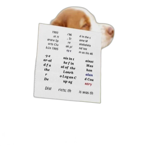 animal, food, weapon, hat transparent PNG cut-out