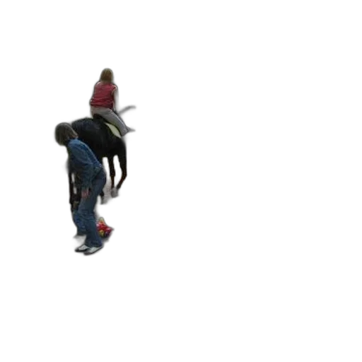hat, staff, creature, robot transparent PNG cut-out