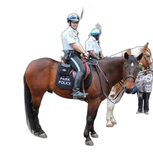 staff, animal, concept art, two transparent PNG cut-out