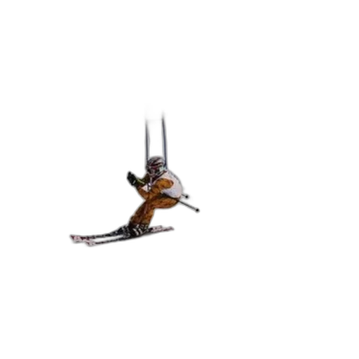 dragon, animal, staff, creature transparent PNG cut-out