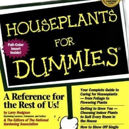 furniture, houseplants, dummies, book transparent PNG cut-out