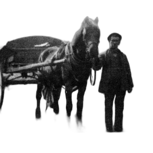 staff, animal, car, creature transparent PNG cut-out