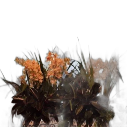 crown, flower, hair, dragon transparent PNG cut-out