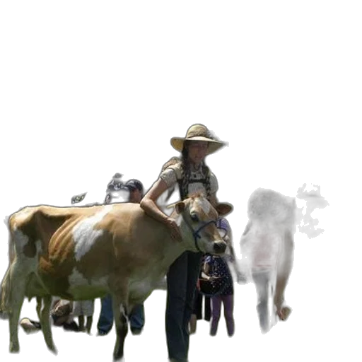 animal, staff, hat, weapon transparent PNG cut-out