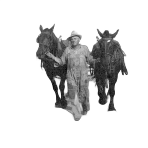 animal, hat, staff, photorealistic transparent PNG cut-out