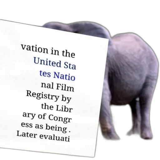 poster, elephant, background, promoting transparent PNG cut-out
