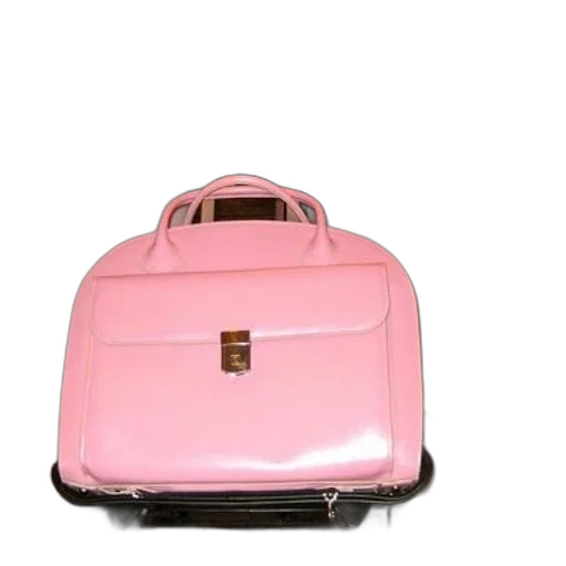 3d render, pastel, pink, leather transparent PNG cut-out