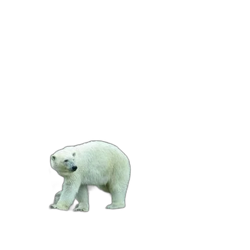 animal, creature, car, robot transparent PNG cut-out