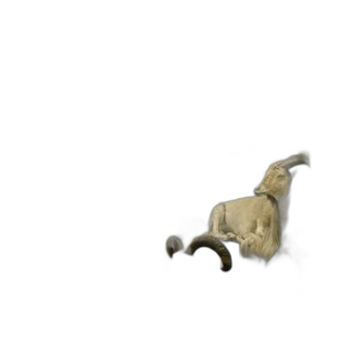animal, furniture, creature, dragon transparent PNG cut-out