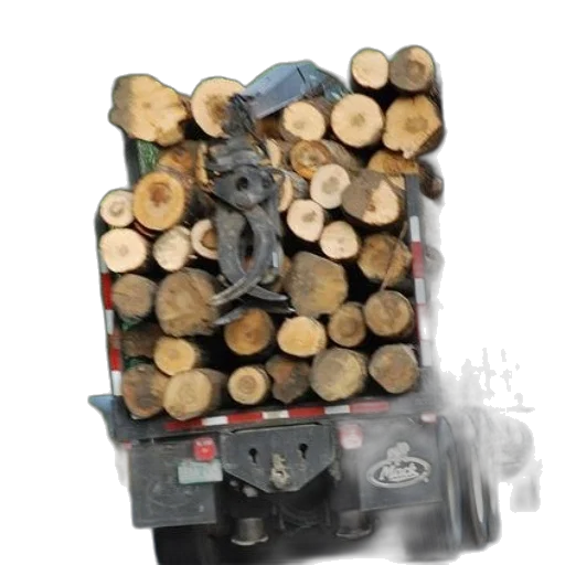 robot, tree, car, furniture transparent PNG cut-out