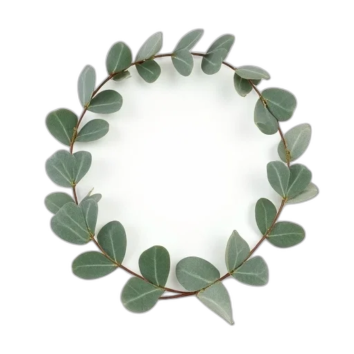 jewelry, crown, earth tones, green transparent PNG cut-out