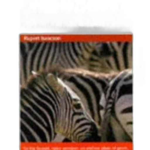 animal, earth tones, travel, guidebook transparent PNG cut-out
